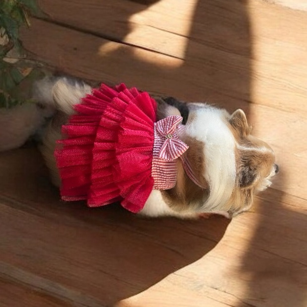 Red Striped Pet Dress with Bow